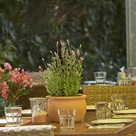Hotel Star Premium Graz